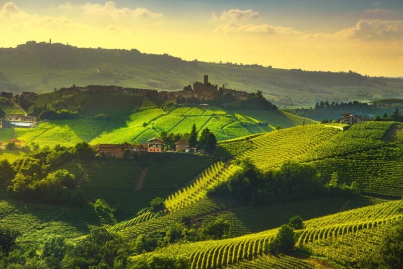 The most beautiful italian wine routes