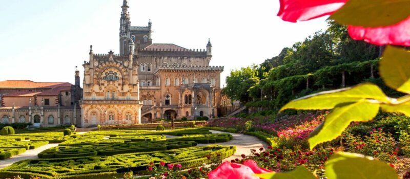 Palace hotel do bussaco: natureza, história e sofisticação no mesmo lugar