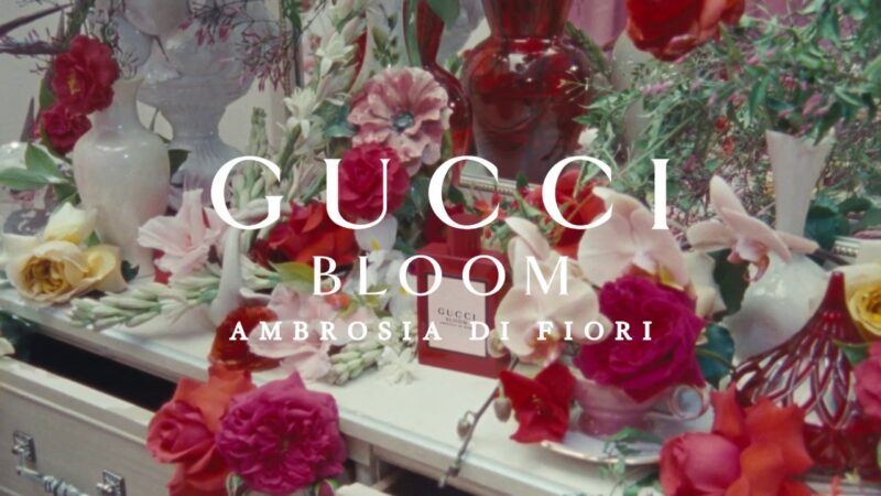 O novo perfume gucci bloom é o mais sofisticado de todos os tempos