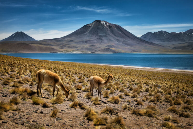 Do atacama à patagônia: os incríveis destinos chilenos