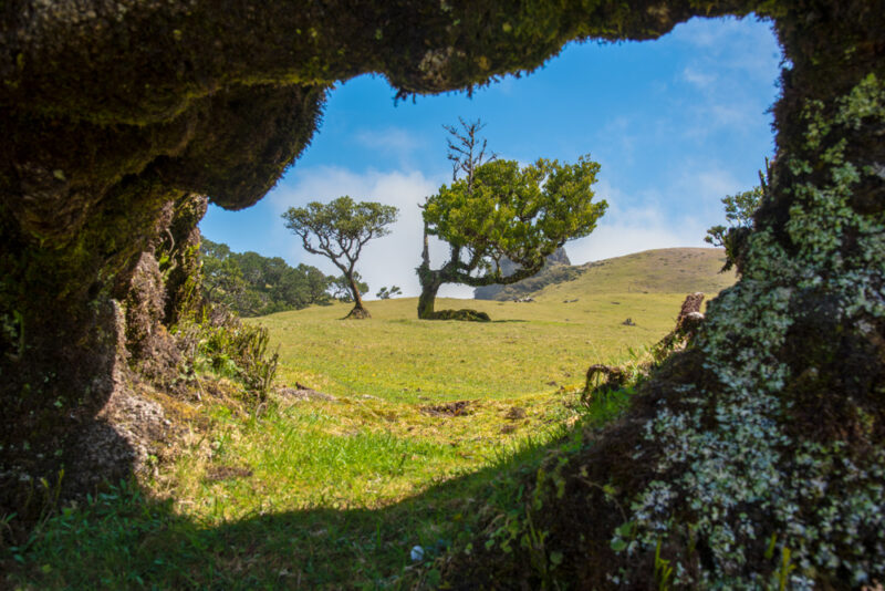 07 coisas que você não sabia sobre a ilha da madeira