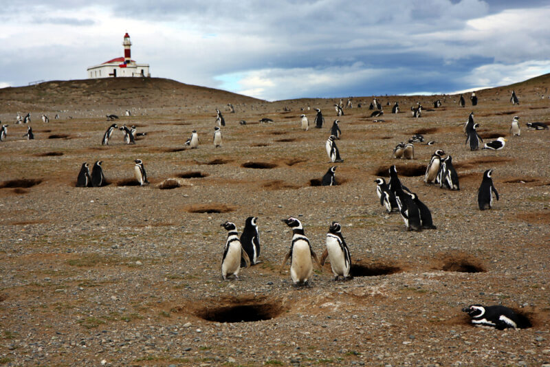 Do atacama à patagônia: os incríveis destinos chilenos