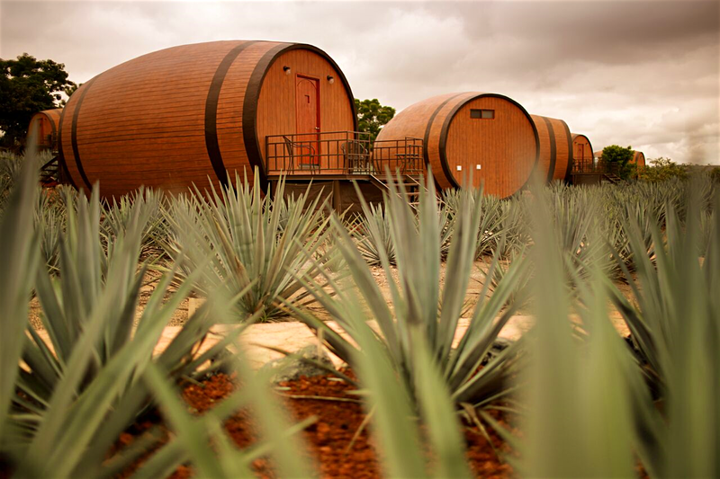 Uma experiência única: dormir dentro de um barril de tequila