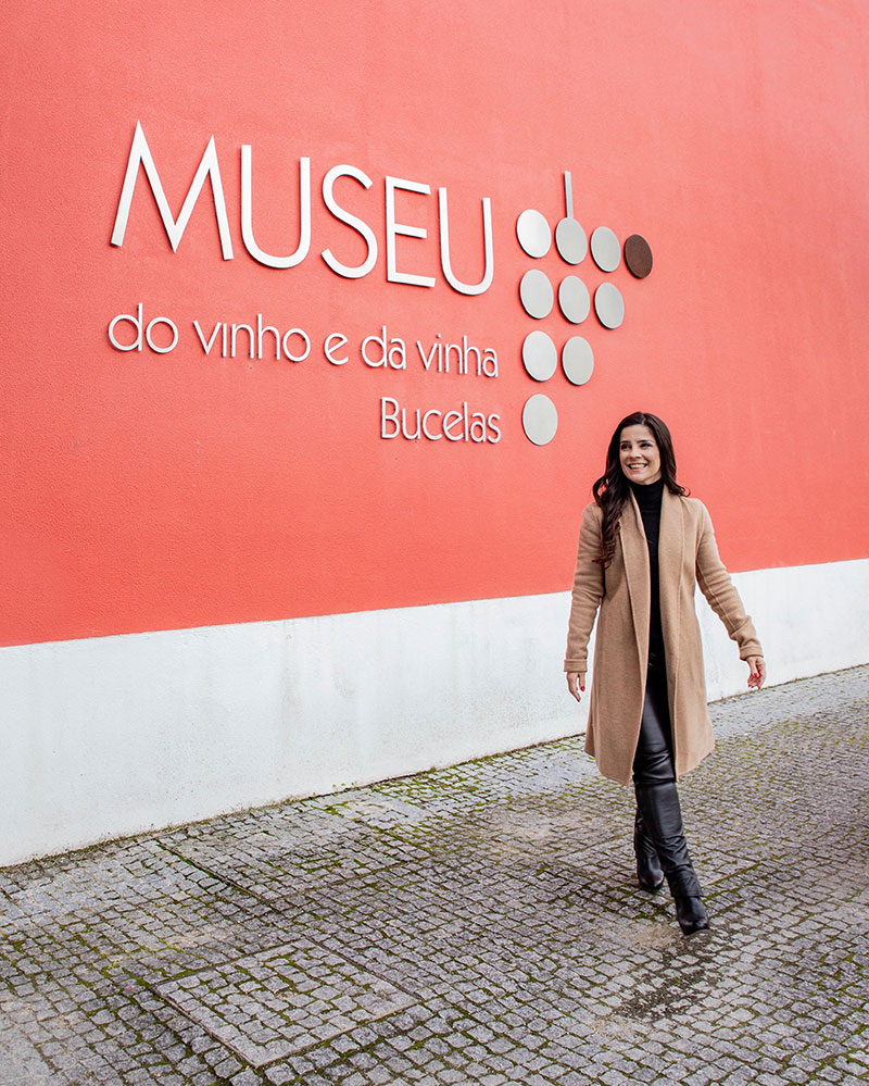 Museu do vinho e da vinha