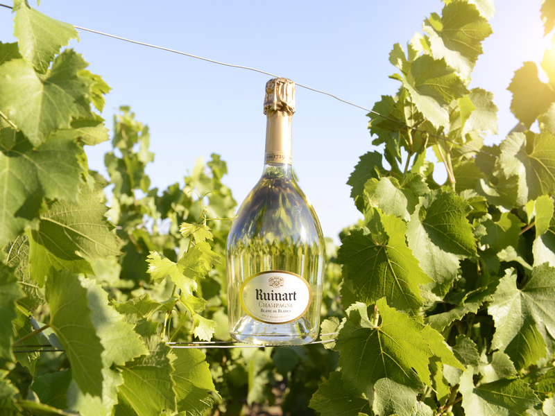 Ruinart_blanc_de_blancs_vineyards_3 -web- -mhiswf098107 revision-1